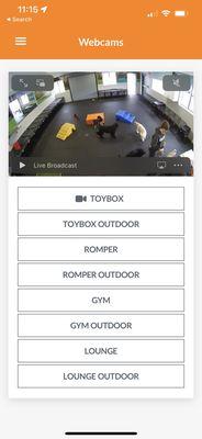 The Webcams in Dogtopia App