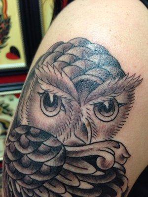 owl face detail