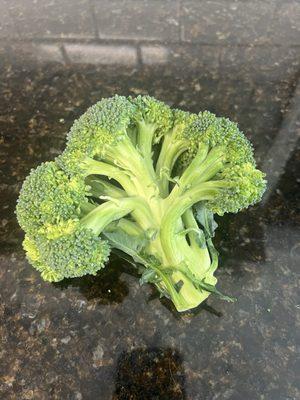 Gross limp broccoli...