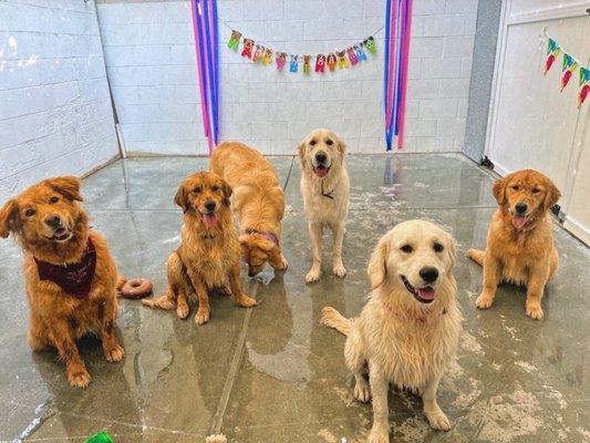 Birthday party for her buddy Bailey