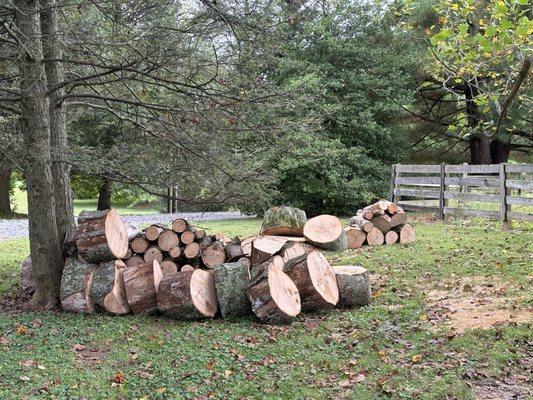 Wood from tree taken down by BG&E.