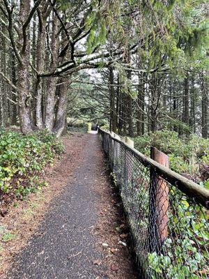 Alternate path parallel to ocean view leaving Cape Meares Lighthouse.