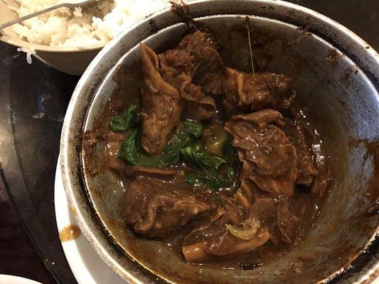 Beef Brisket Stew. (Family dug in too fast!)