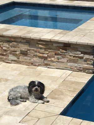 110 degrees and still cool enough for my dog on the travertine!