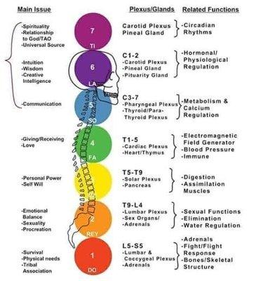 The Spine & Our Energy Centers meanings and how we are affected by them when out of balance