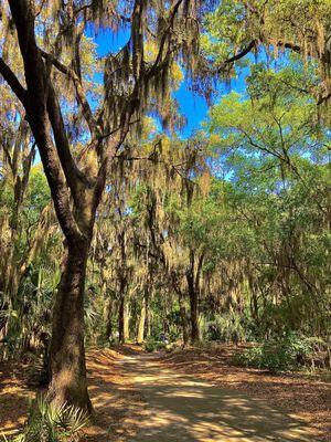 Jacksonville Arboretum