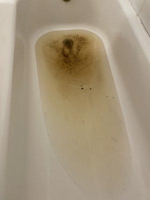 Toilet paper and feces in my bath tub