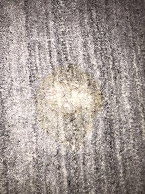 BEFORE: The terrible permanent stain that couldn't be removed. Argh, dogs!