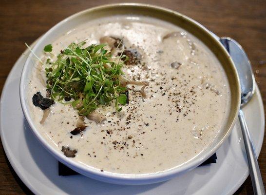 Soup of the day: Mushroom