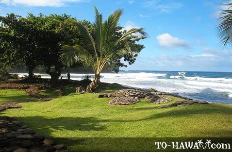 from: http://www.to-hawaii.com/big-island/beaches/honoliibeachpark.php