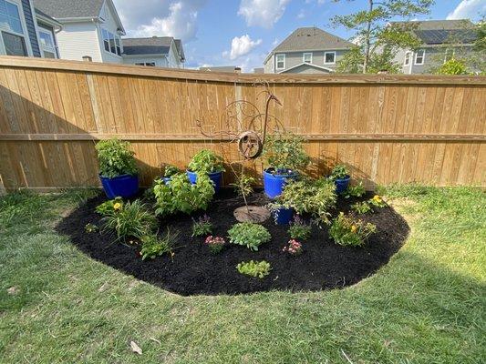 Planted all of my clients plants she brought with her when she moved