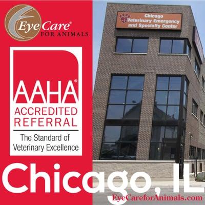 Eye Care for Animals in Chicago, IL is an accredited referral practice with the American Animal Hospital Association (AAHA).