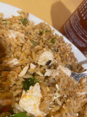 dead fly in my Fried Rice