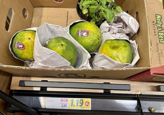 Large Papayas