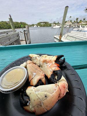 Stone crab medium