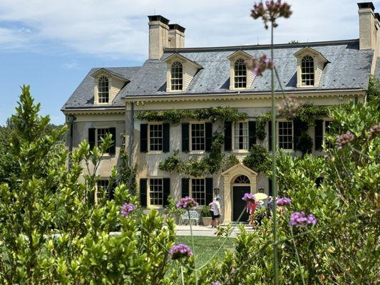 Beautiful estate covered in wisteria