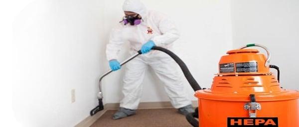 Mold Removal and inspection service