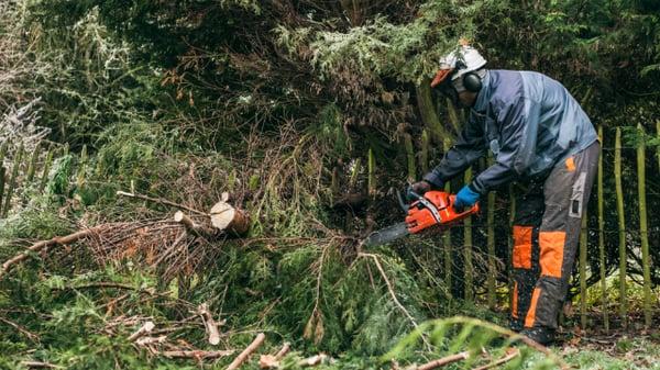 Total Tree Service