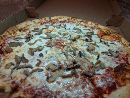 Pizza with Mushrooms