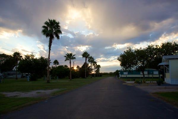 Dacia Street  At Oleander Acres RV Resort