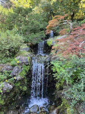 Japanese Gardens waterfall