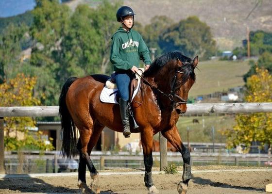 A Garcia Equestrian Training