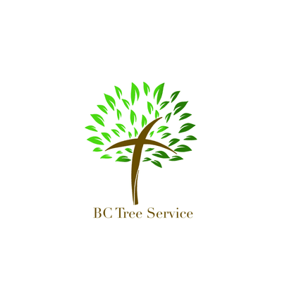 BC Tree Service