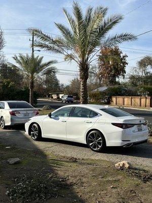 Lexus delivers booby prize, ES 350 F-Sport 3 days later!! Look at the tail of my baby in front!! Nice from that angle, eh?