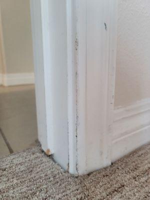 Mold on baseboard going into the bathroom. This is the condition it was rented in. Gross.