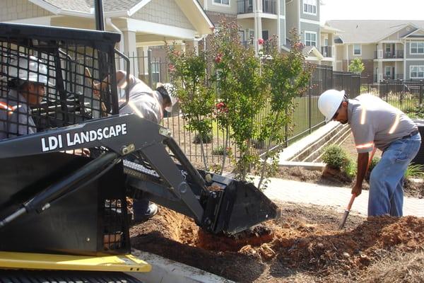 Landscaping Warner Robins GA