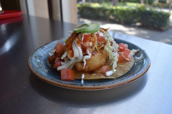 Beer Battered Fish Taco