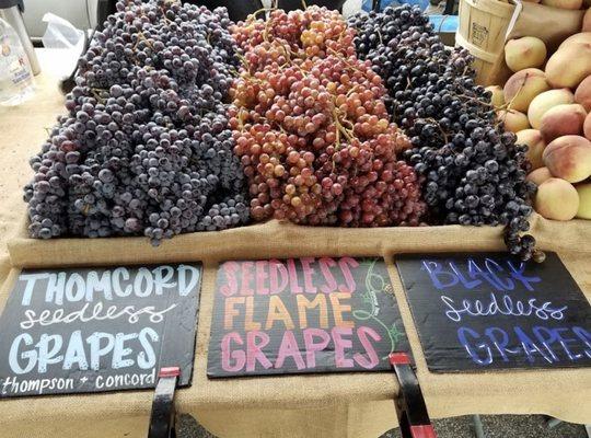 Delicious grapes, i tried them all!!