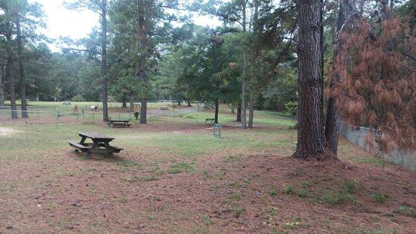 Open dog park and a picnic table