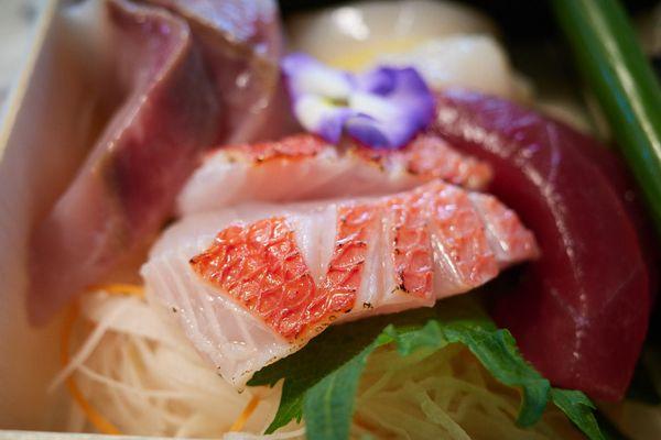 Red snapper sashimi