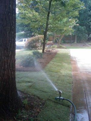 Sprinkler installed