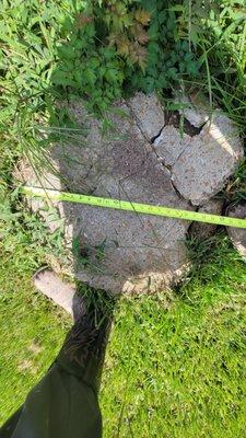 Cracked septic tank lid