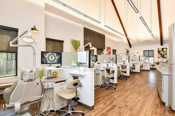 Palmetto Family Orthodontics