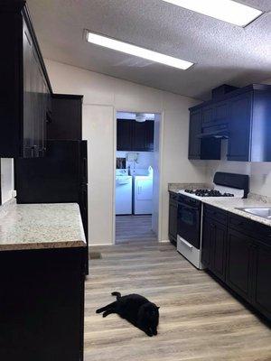 New Kitchen with new flooring. Our cat loves the new floor!