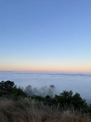 Sunrise and fog coalescing on our morning hike