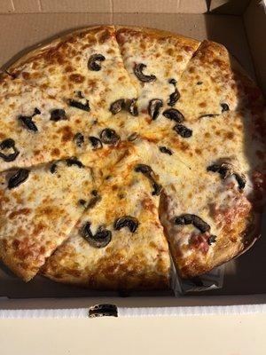 Mushroom and cheese pizza for $17.