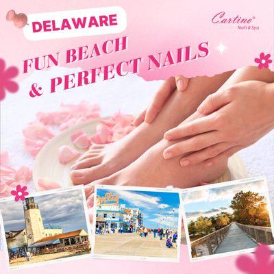 EXPERIENCE DELAWARE: BEACH FUN AND BEAUTY DELIGHT