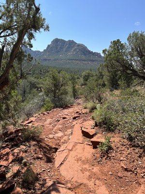 View from the trail