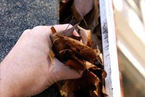 Gutter Cleaning