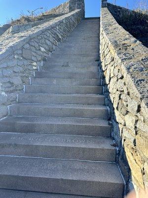 Looking up the steps