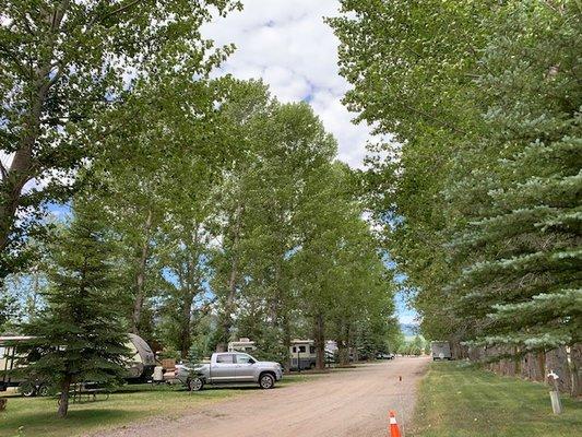 Site #7 Mature trees for privacy and shade