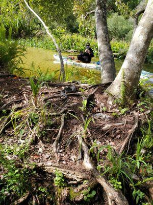 Otter Paddle Orlando - Rock Springs