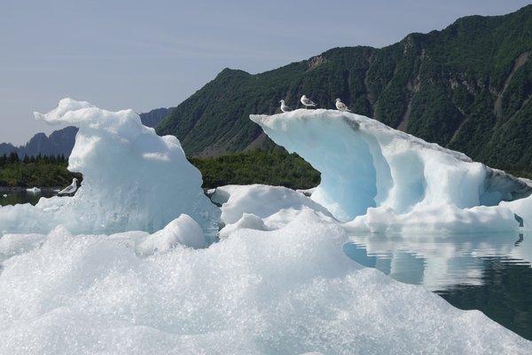 Kayaking Bear Glacier Lagoon