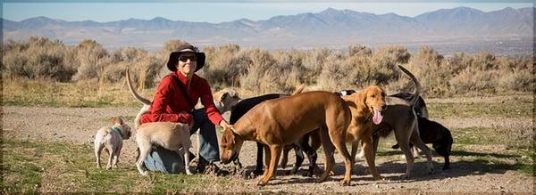 Dog Hiking