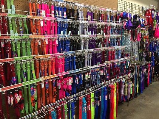 Dog collars of all sizes and colors.