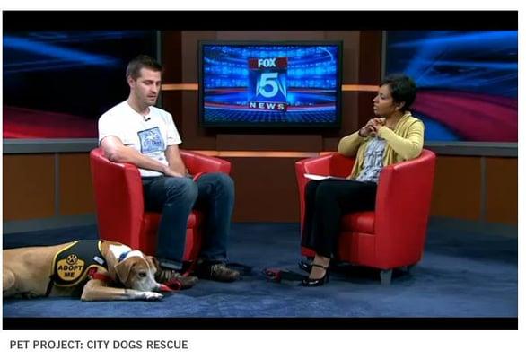 Owner Dave Liedman talking about our 501c3 rescue organization City Dogs Rescue.